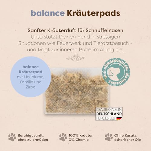 Löwenkind Dogs 100% natürliches Beruhigungsmittel für Hunde | Für innere Ruhe in Stress-Situationen zur Entspannung | Allein Sein, Tierarztbesuche, Gewitter, Feuerwerk (6 Kräuterpads, Balance-Pads)