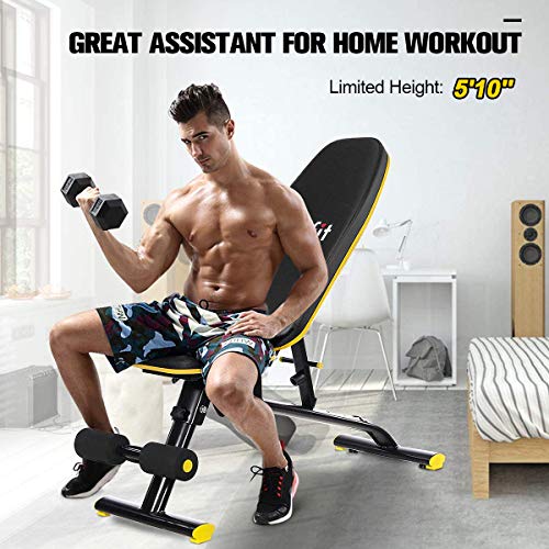 Weight Bench Adjustable Foldable, Doufit Heavy Duty Workout Bench Press for Home Gym, Indoor Multi-Purpose Exercise Incline Decline Assembled Bench for Weight Lifting Training (M)