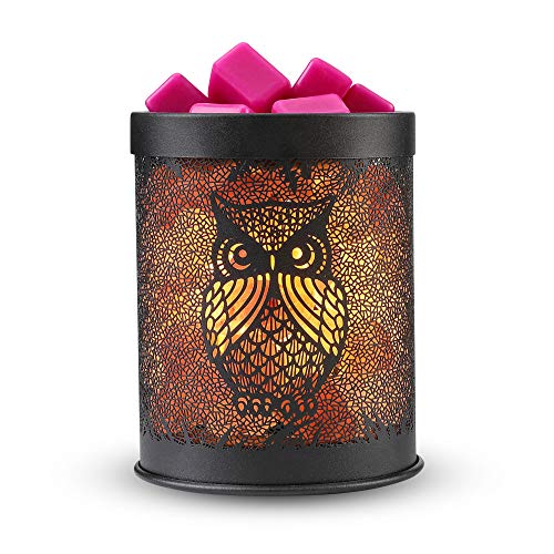 Candle Wax Warmerï¼Œ Himalayan Salt Lamp, 2-in-1 Scented Wax Melter & Natural Salt Rock Lamp, Tall Ceramic Tart Lamp Warmer - Wax Cube Melter - Air Freshener Odor Eliminator Fragrances Candles Oils
