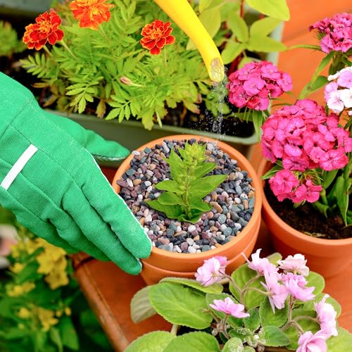Image of CJGQ 18lb Aquarium Gravel for Plants, 1 /4Inch Fish Tank Gravel for Succulent Cactus and Bonsai, Decorative River Rocks Pebbles for Gardening, Flower Pots, Landscaping,Terrarium