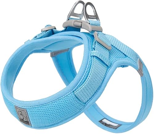 WINHYEPET Truelove Step-in Dog Harness Soft Mesh Reflective Breathable Dog Harness, Easy Walk Harness with Safety Buckle for Extra Small and Small Dogs, Vest Harness TLH3013(Sky Blue, M)