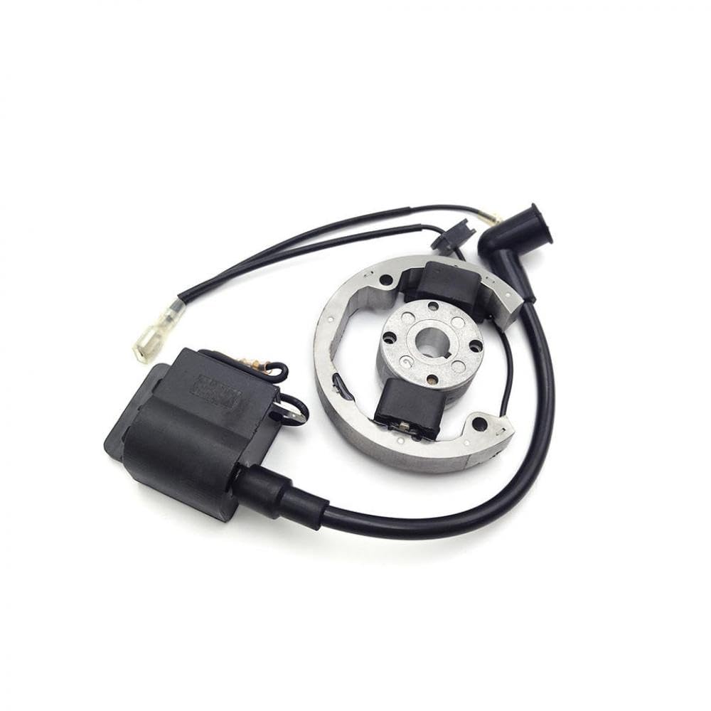 SX50 50cc 2 brote de motor de motor Magneto Magneto El volante del estator del volante compatible con bicicletas de boxes 2002-2008