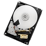 Dieses LFF-Laufwerk verwendet eine 6 Gbit/s SAS (serial Attached SCSI) Schnittstelle und wird in einer nicht-Hot-Swap geliefert.