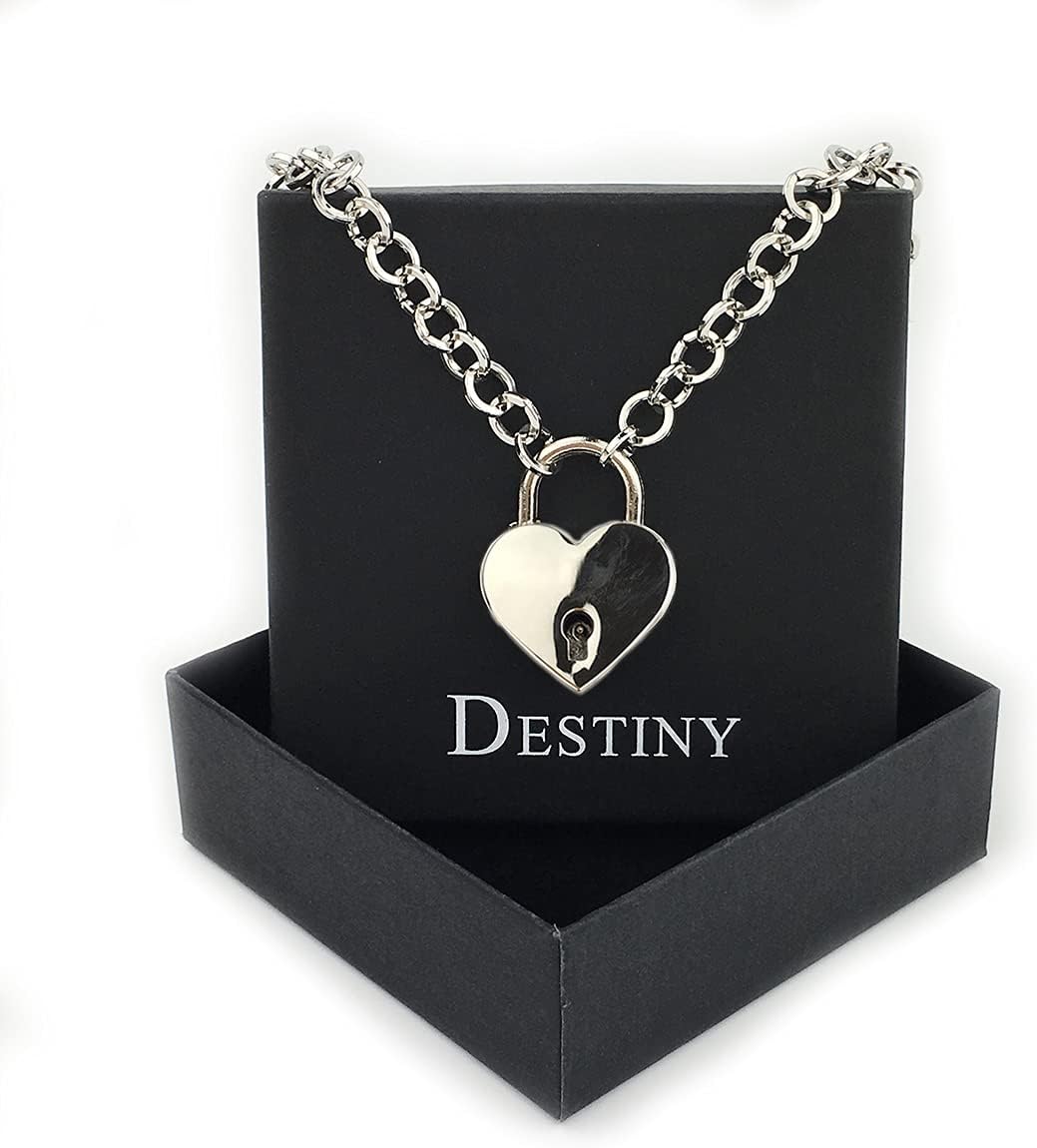 Destiny Love Padlock Choker Collar Necklace with Lock and Two Keys Lock Necklace with Black Box for Women and Men image 3