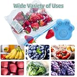 WiseFresh zestaw pochłaniaczy gazu etylenowego, ochrona przed świeżymi produktami warzywnymi i owocowymi, przedłużacz świeżości żywności, pojemnik na świeże owoce, 30 szt., do oszczędzania warzyw