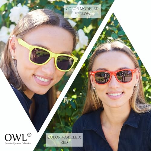 Wholesale Bulk Retro Vintage Smoke Lens Sunglasses 10 Pairs Many Colors Frame OWL ®4