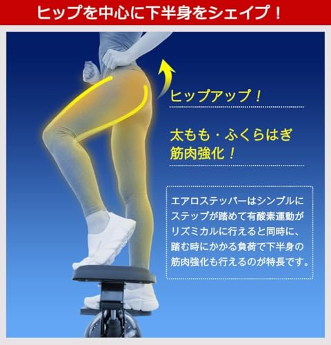 RE エアロ ステッパー SP-500 の商品画像 4
