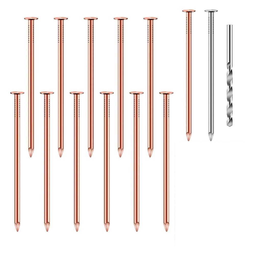 Vkyipg 14Pcs Copper Nails Kit to Killing Trees,3.5 Inch Pure Copper Nails Bulk,Stump Removal Spikes Hardware Nails for Trees
