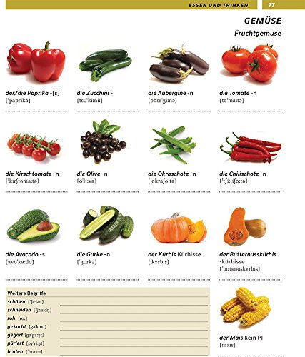 PONS Bildworterbuch Deutsch als Fremdsprache: 8.000 Worter und Wendungen. Premium-App: Wortschatz trainieren und anhoren - Image 4