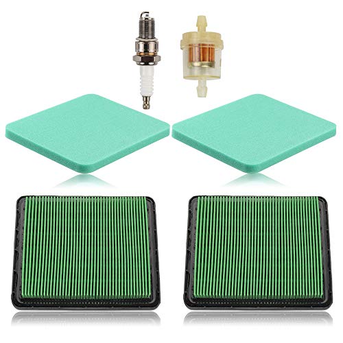 Alibrelo Air Filter for Honda Harmony II HRR216 HRR2169PKA HRR2169VKA HRB216 HRB217 HRC216