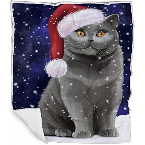 Doggie of the Day British Shorthair Cat Blanket - Let it Snow - Super Soft & Warm Pet Theme for Sofa or Bed, Warm Fleece, Sherpa or Woven Material, BLNKT162201 (30x40 Fleece)