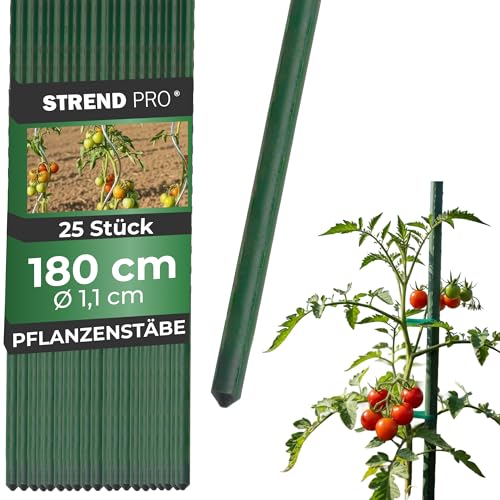 STREND PRO Pflanzstäbe 180 cm - 25 STK. Set | Ø 11 mm Stahl + Kunststoff | Rankstab Grün | Tomaten & Bohnenstangen | Pflanzenstütze groß | Metalle Rankhilfe | Stützstäbe für Pflanzen | Pflanzstütze