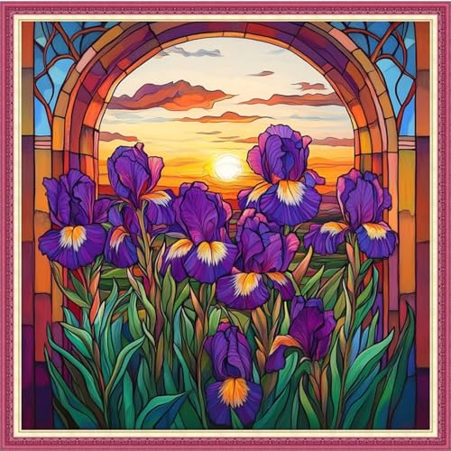 Image of Fanxvivy Stamped Cross Stitch Kits for Beginners Full Range of Cross Stitching Preprinted Embroidery Kits for Adults, 11CT Embroidery Pattern Needlepoint Kits-Sunrise Oriole Tail Flower 18x18 inch