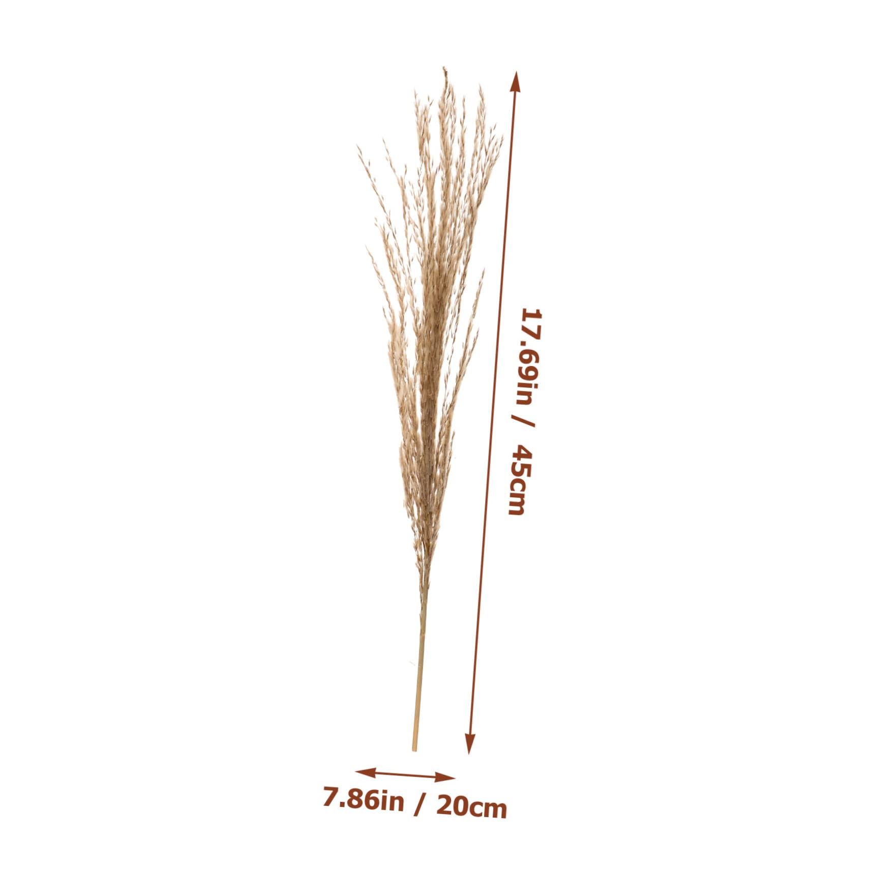 Zerodeko 2ensembles Pampas Séchées Artificielles De Tiges De Fleurs Décoratives pour Décoration DIY Ambiance pour Mariages Et Événements pour Maison Et Bureau