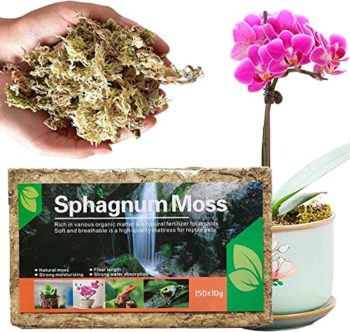 11.2L 150g Premium Long Fibered Sphagnum Moss Natural Potting Mix for Succulent, Carnivorous Plants, Orchid Plant Soil, Air Layering, Mulching, Propagation, Reptile or amphibians’ terrariums