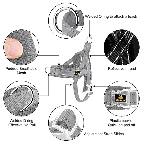 Image of Plutus Pet No Pull Dog Harness for Medium Sized Dog, Breathable Mesh Padded