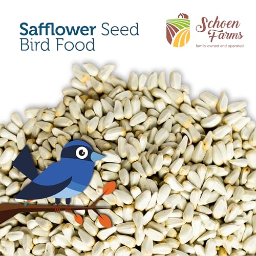 Schoen Farms Safflower Seeds Bird Food – 2.27 kg Bag – Natural Seed for Cardinals, Finches & Doves – Squirrel-Resistant, Canadian Grown - Image 5
