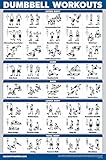 Palace Learning Dumbbell Workout Exercise Poster - Free Weight Body Building Guide | Home Gym Chart | Laminated, 18' x 27'