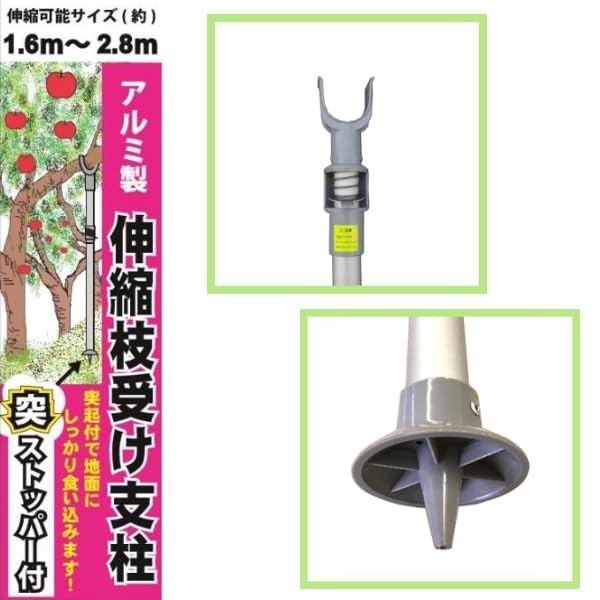 ※専用※アシモクラフト　シェラ２個セット　深２５０&amp; A_ sierracup a_sierracup深250 | asimocrafts