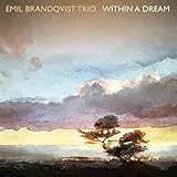 dub trio vinyl  Within a Dream (Black/180 Gr.+Mp3) [Vinyl LP]