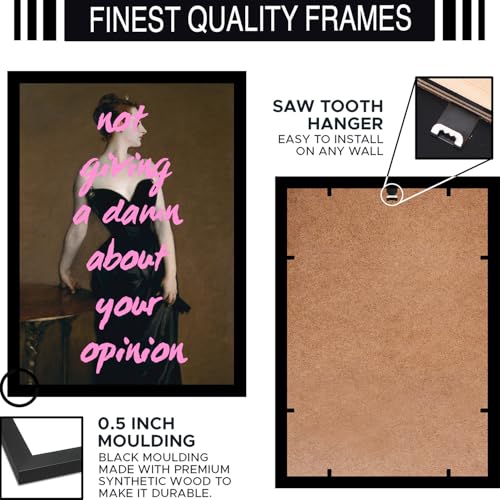 Image of BLINKART Framed Photo - Not Giving A Amn About Your Opinion | Altered Art Theme | Motivational & Inspirational Wall Art Poster for Home, Bedroom, Living Room, Office, Hotel & Gifting - 12x8 Inch