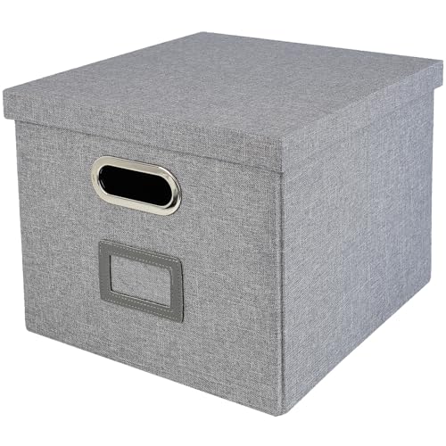 HMF Caja de almacenamiento con tapa para carpetas colgantes DIN A4 | Apto para Kallax | 33 x 37,5 x 28 cm | Gris