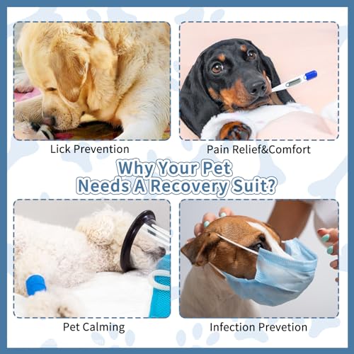Image of Dog Onesie After Surgery Recovery Suit Anti Shedding Bodysuit Wounds Female Male Dog Neuter Spay Onesie E-Collar & Cone Alternatives Postoperative Shirt Dog Pajamas(XL)