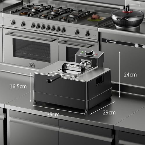 Friteuse en acier inoxydable 10L dotée d'une fenêtre de visualisation