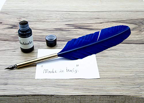 Penna stilografica con piuma d'oca vera