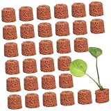 BESTonZON 30 Piezas Anillos para Plantación Acuática para Peceras y Fijación para Plantas de Agua Anillos de Gravedad para Decoración y Paisajismo Acuático
