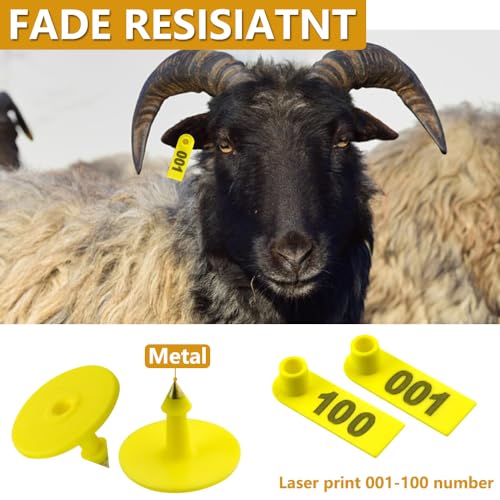 WMYCONGCONG 300 Pcs Kunststoff Vieh Ohr Tag Animal Tag Blau Gelb Orange Grün und 1 Pcs Ohrmarke Applikator für Ziege Schaf Pig