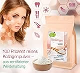KOPP Vital® Kollagen Pulver 500g | 100 Prozent reines Kollagen | Reines Kollagenpeptid | Hergestellt und geprüft in Deutschland | Kollagenhydrosat | zertifizierte Weidehaltung | 91% Eiweißgehalt