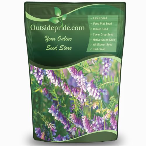 Outsidepride Hairy Vetch Cover Crop Seeds - 1 Lb Cold Tolerant, Winter Hardy - Ideal for Soil...