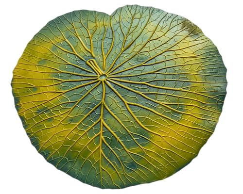 Feuille décorative Vitoria-Regia en latex bio pour centre de table durable - 2