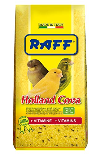 RAFF Pasta DE CRIA Holland COVA 1KG