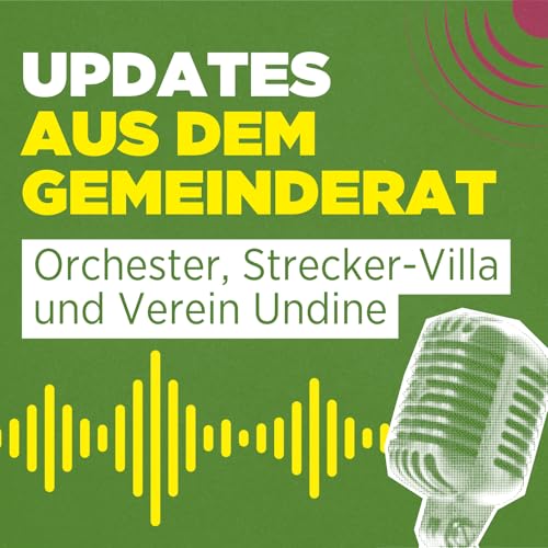 Updates aus dem Gemeinderat: Orchester, Strecker-Villa und Verein Undine