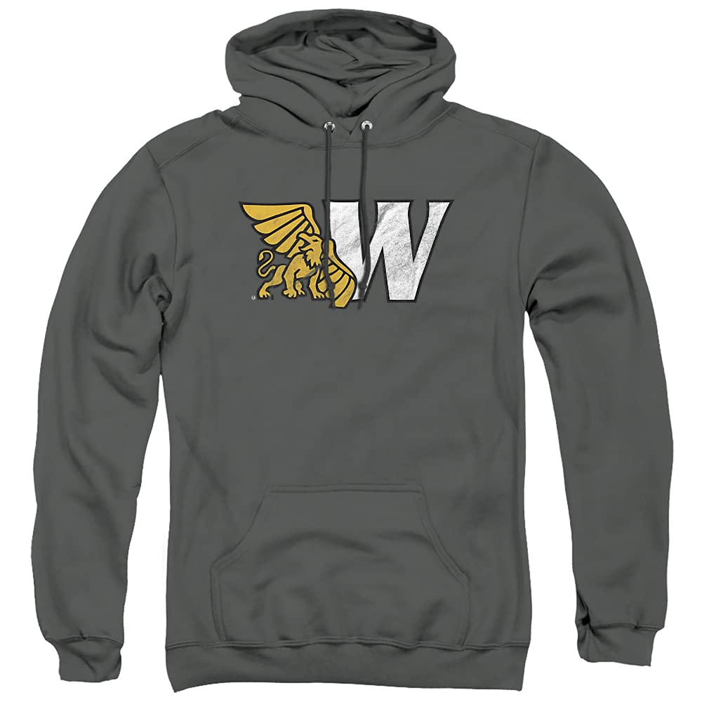 LOGOVISION Official Collegiate Distressed Primary Logo Adult Pullover Hoodie Collection — view 30