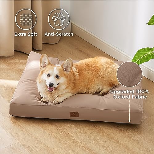 BEDSURE Hundekissen kleine Hunde waschbar - 76x50cm Hundebett wasserdicht M für kleine, mittelgroße Hunde gepolstert Hundematte Warmes Taupe in 10cm Höhe