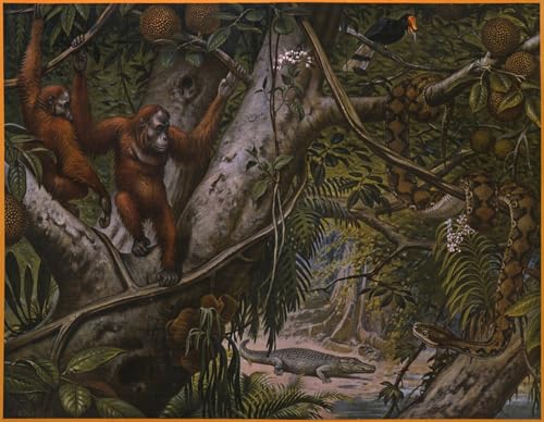Graffiti Art Mural Animaux sauvages pour créer une ambiance jungle moderne