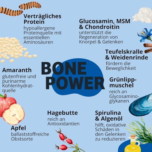 BugBell Getreidefreier Hundesnack für Knochen & Gelenke 60g, bei Arthrose, Patellaluxation, mit Grünlippmuschel & Spirulina & Weidenrinde & Teufelskralle