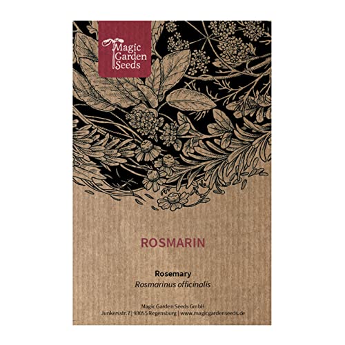 Romero (Rosmarinus officinalis) - aprox. 50 semillas