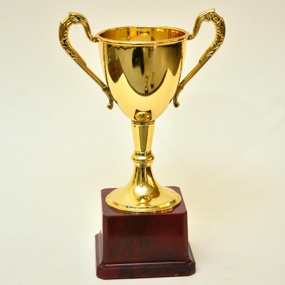 Gold Cup Trophy for Sports, Event & Functions (Large, 25cm Height x 10cm Width x 10cm Depth)-picture-30
