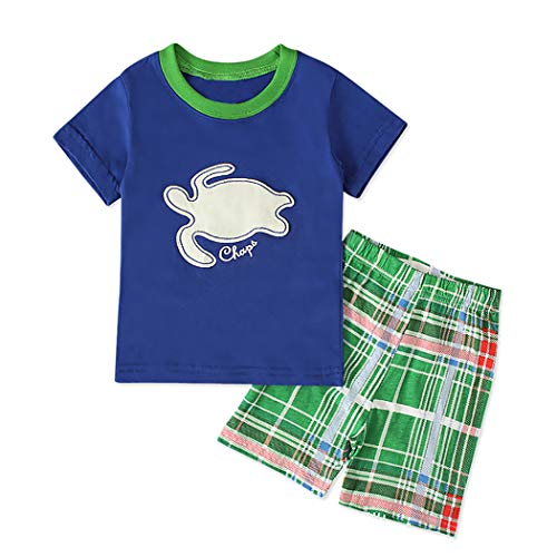 WonderBabe Baby Boys Summer Clothing Sets Cute Sea Turtle Long Sleeve Tank Tops T-Shirt+Shorts Outfits (Blue, 2-3 Years)