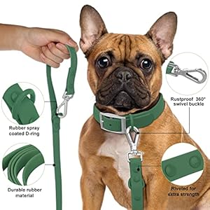 Waterproof dog leash standard dog leashes with 2 hooks for walking adjustable lengths for traffic control safety durable and odor proof for medium large dogs pine greens   cucciolini doodles
