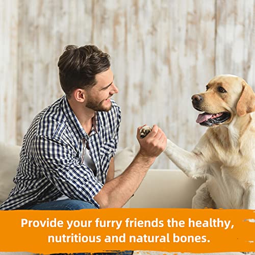 Jungle Calling Rawhide Free Dog Chew Treats, Real Chicken Wrapped Peanut Butter Bones, Teeth Clean Chewy Training Snacks, 6 Oz #TOP6