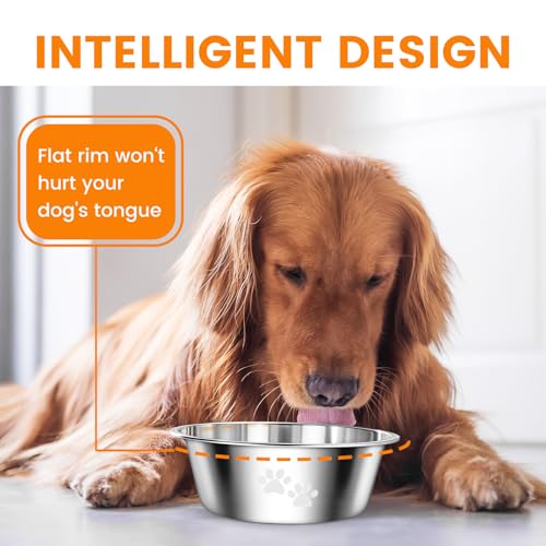 PETTOM 2 Stück Edelstahl Fressnapf Hund (1560 ML), Hundenapf Futternapf Hund Edelstahl mit Rutschfestem Silikonboden für Große, Mittelgroße Kleine Hunde, Spülmaschinengeeignet, M - 21 cm, Silber