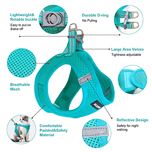 Cat Harness And Leash Set, Soft Dog Vest Harness No Pull, Kitten Harness With Reflective Strap, Step In Puppy Harness For Small Dogs, Dog And Cat Universal Harness,Durable D-Ring(S,M,L) #TOP2