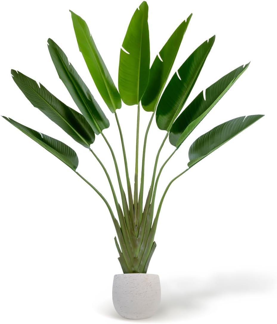 BLAINE - Piante Finte da Interno Albero di Strelitzia 180 cm