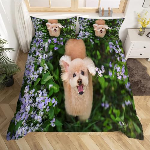 Parure de lit fleurs et caniche 200x200 en microfibre douce hypoallergénique