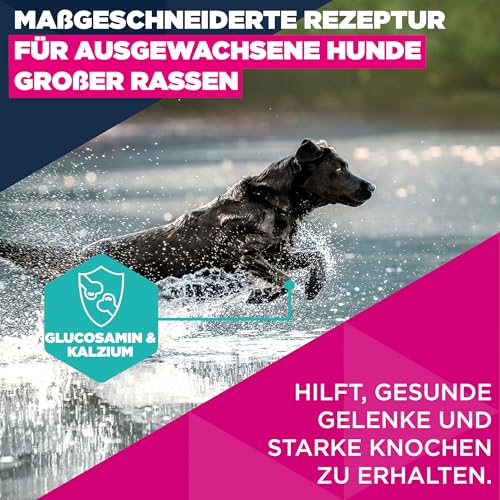 Eukanuba Hundefutter Trocken mit frischem Huhn für große Rassen, Premium Trockenfutter für ausgewachsene Hunde, 3 kg